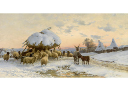 SO X-233 Bela Pállik - Ovce v zimě