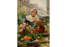 SO X-95 Louis Marie de Schryver - Prodejce květin a ovoce