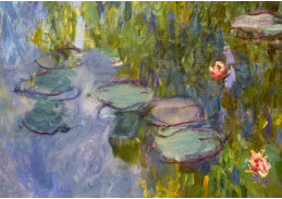A-255 Claude Monet - Lekníny