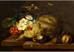 A-1326 Franz Xaver Petter - Zátiší s květinami, ovocem, stehlíkem a motýlem
