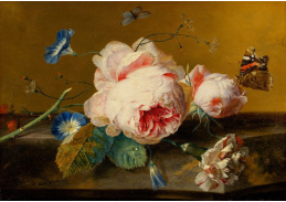 A-1335 Jan van Huijsum - Zátiší s květinami a motýlem