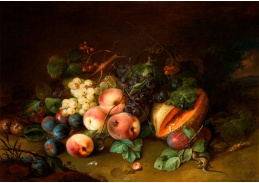 A-1351 Johann Amandus Winck - Ovocné zátiší s včelkou