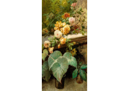 A-1515 Giacinto Bo - Růže a rostliny v květináčích