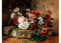 A-1685 Eugene Henri Cauchois - Květinové zátiší s astrami