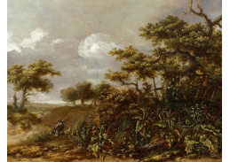 A-1757 Jan Wynants - Zalesněná krajina s pastýřem