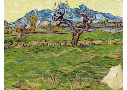 A-3185 Vincent van Gogh - Krajina s olivovníky a horami v pozadí