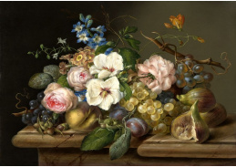 DDSO-4517 Franz Xaver Petter - Zátiší s ovocem a květinami