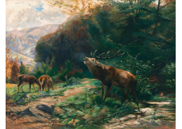 A-3602 Johann Christian Kroner - Řvoucí jelen s laněmi na lesní mýtině