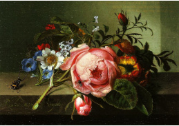 DDSO-4589 Rachel Ruysch - Zátiší s růží, hmyzem a včelou