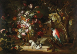 DDSO-4645 Neznámý autor - Květinové a ovocné zátiší se psem a papouškem