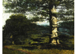A-5111 Gustave Courbet - Cedr z Hauteville