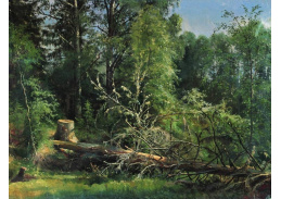 A-5138 Ivan Šiškin - Pokácený strom
