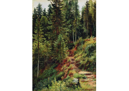 A-5746 Ivan Šiškin - Cesta v lese