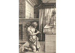 VR12-112 Albrecht Dürer - Kajícník