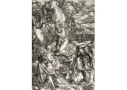 VR12-118 Albrecht Dürer - Kristus na hoře Olivetské