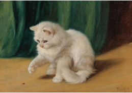 DDSO-3190 Arthur Heyer - Kočka s beruškou