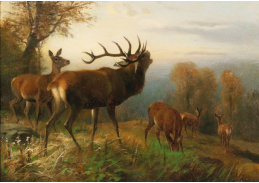 DDSO-3222 Carl Friedrich Deiker - Stádo jelenů