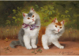 DDSO-4238 Sophie Sperlich - Dvě koťata