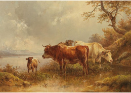 DDSO-4915 Edmund Mahlknecht - Krávy u vody