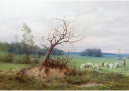 DDSO-5312 Raimund Ritter von Wichera - Stádo ovcí s pastýřem v otevřené krajině