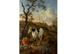 DDSO-2979 Pieter Cornelisz Verbeeck - Bílý kůň a spící muž