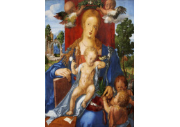 DDSO-5364 Albrecht Dürer - Madonna se Siskinem