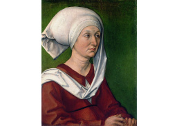 DDSO-5365 Albrecht Dürer - Portrét Dürerové matky Barbary