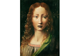 VR1-30 Leonardo da Vinci - Hlava dvanáctiletého Krista