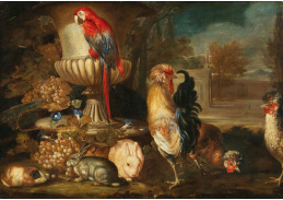 D-5834 David de Coninck - Drůbež, králík, papoušek, ovoce a květiny