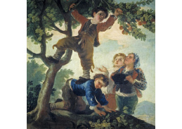 D-6295 Francisco de Goya - Chlapci obírajíci ovoce