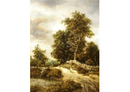 D-6129 Jacob van Ruisdael - Cesta