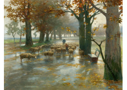 D-6137 Adolf Kaufmann - Stádo ovcí s pastýřkou za deště