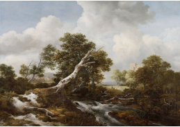 D-7304 Jacob van Ruisdael - Malý vodopád v zalesněné krajině