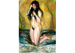 D-7808 Edvard Munch - Ženský akt