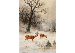 D-9020 Adolf Kaufmann - Srnec v zimním lese