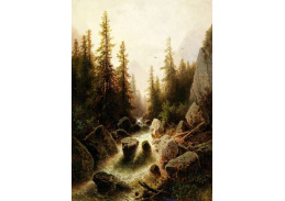 D-9023 Albert Rieger - Vodopád v horách