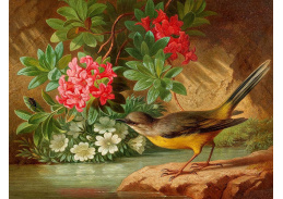 D-9520 Josef Schuster - Zátiší u potoka s alpskými květinami a ptákem