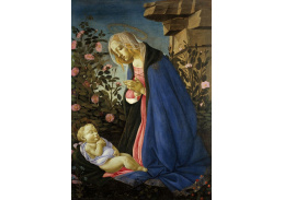 A-89 Sandro Botticelli - Madonna zbožňující spící dítě