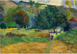 A-117 Paul Gauguin - Údolí