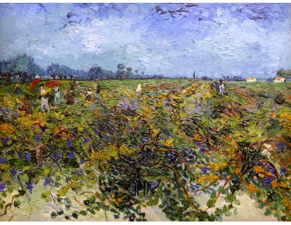 VR2-91 Vincent van Gogh - Zelená vinice