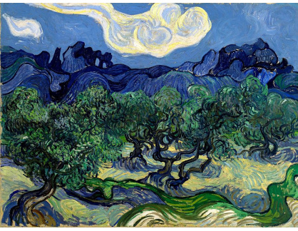 R2-1005 Vincent van Gogh - Olivovníky