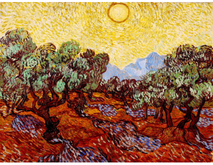 R2-1006 Vincent van Gogh - Olivovníky ve slunci