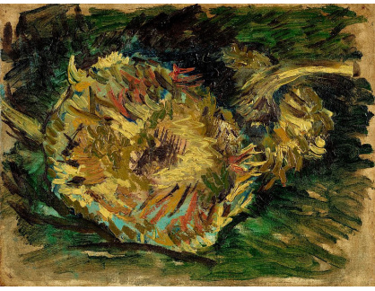 R2-1552 Vincent van Gogh - Dvě uřezané slunečnice