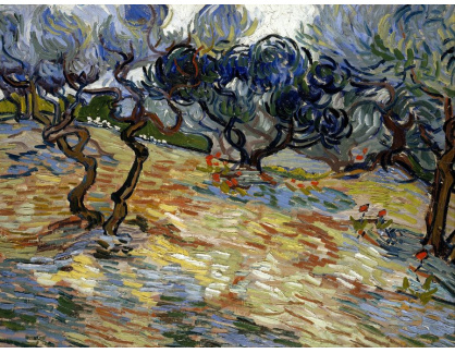 VR2-498 Vincent van Gogh - Olivovníky