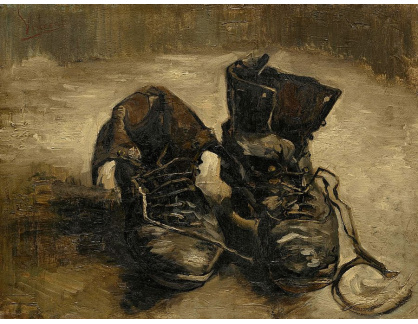 VR2-117 Vincent van Gogh - Jeden pár bot