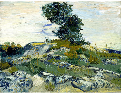 VR2-126 Vincent van Gogh - Duby na skalnatých kopcích