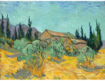 VR2-150 Vincent van Gogh - Chaty obklopené olivovníky a cypříši