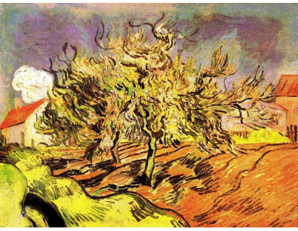 VR2-160 Vincent van Gogh - Krajina se třemi stromy a domy