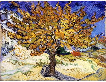 VR2-167 Vincent van Gogh - Moruše