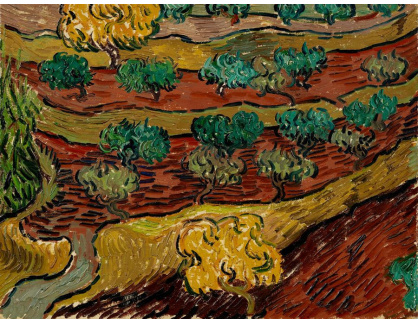 VR2-170 Vincent van Gogh - Olivovníky na kopci